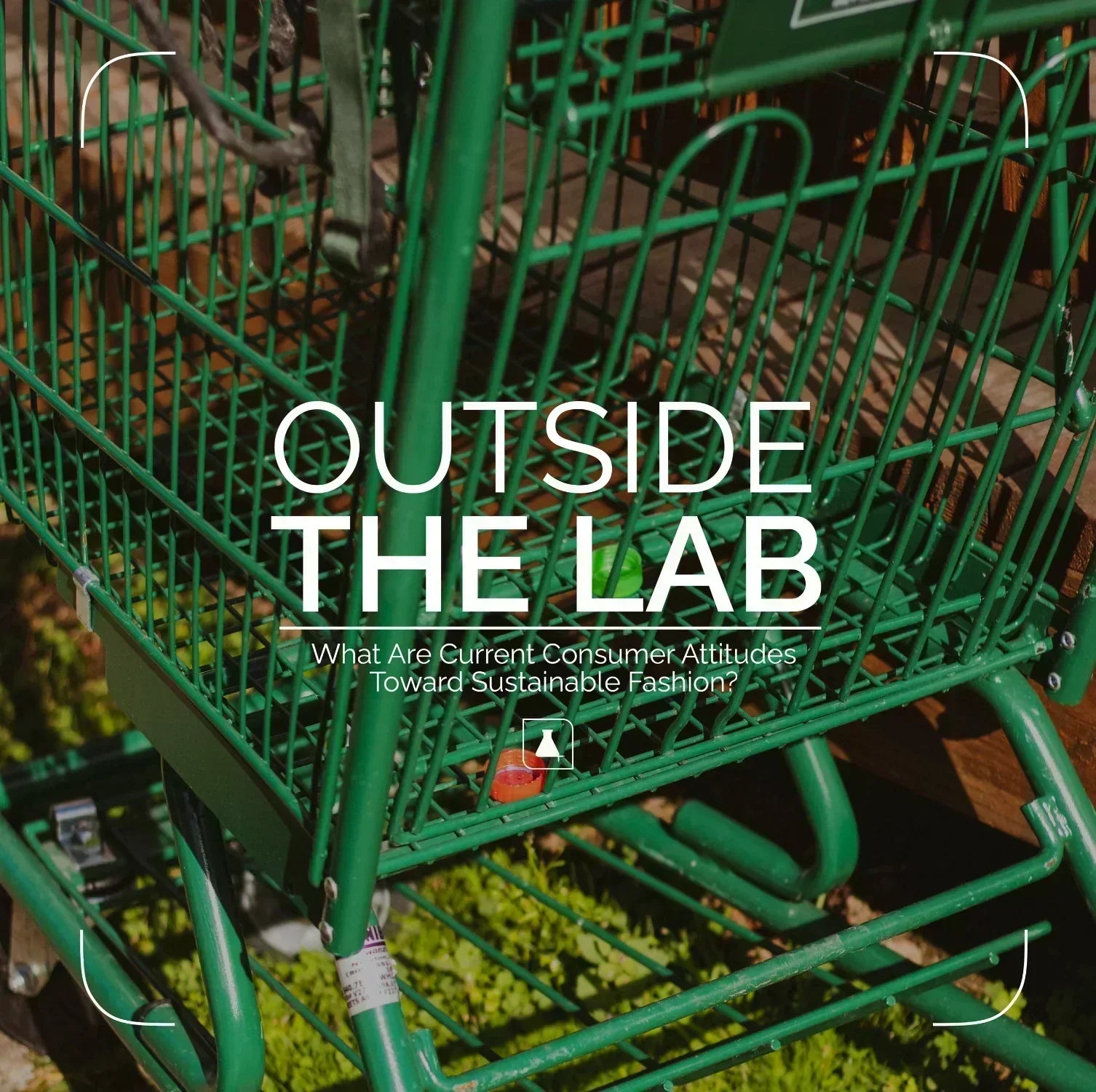 What Are Current Consumer Attitudes Toward Sustainable Fashion?