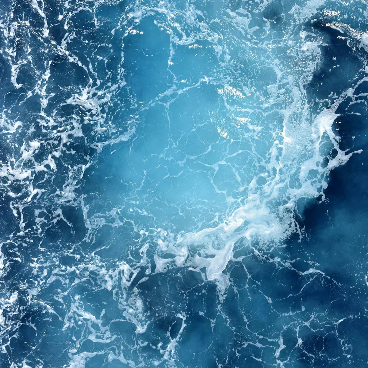Our Water-Wise Commitment For World Oceans Day 2025